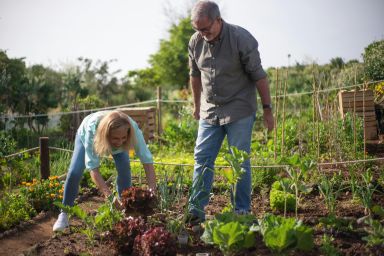 Jardin partagé autour du verger de Courcy