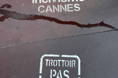 Lutter contre les déchets canins
