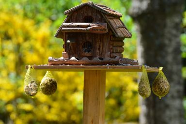 Cabanes à oiseaux